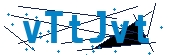 recaptcha