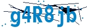 recaptcha